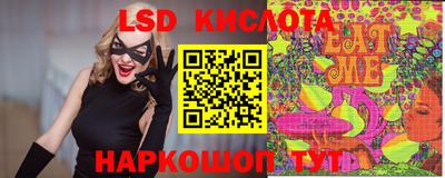mdpv Камышлов