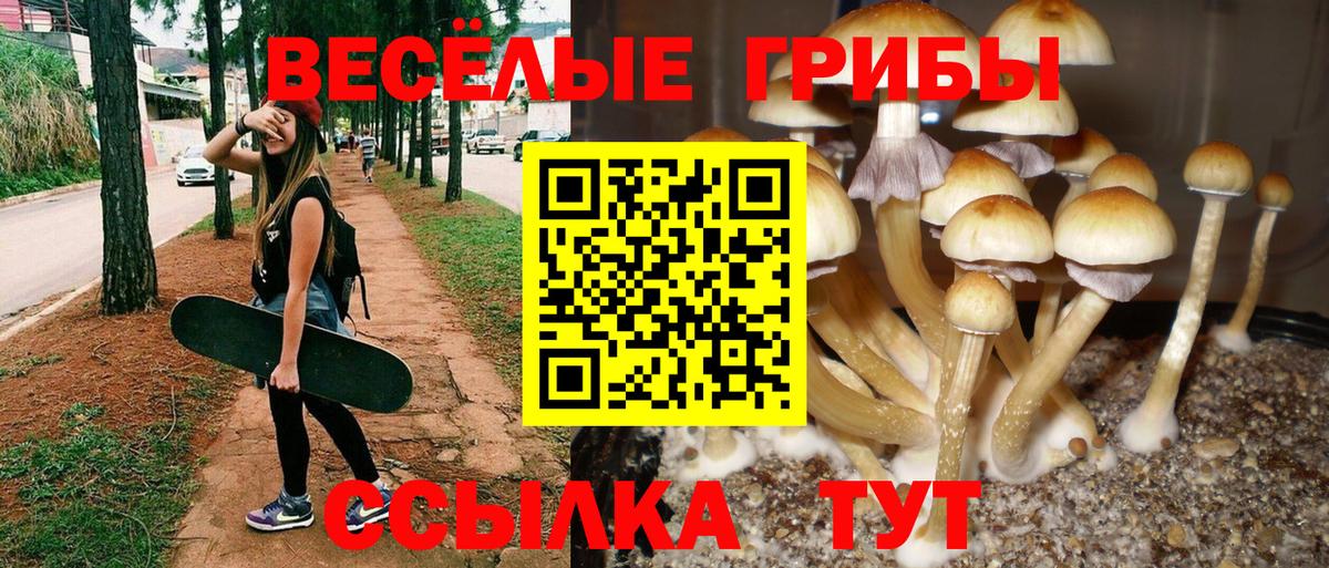 Псилоцибиновые грибы прущие грибы Калининград