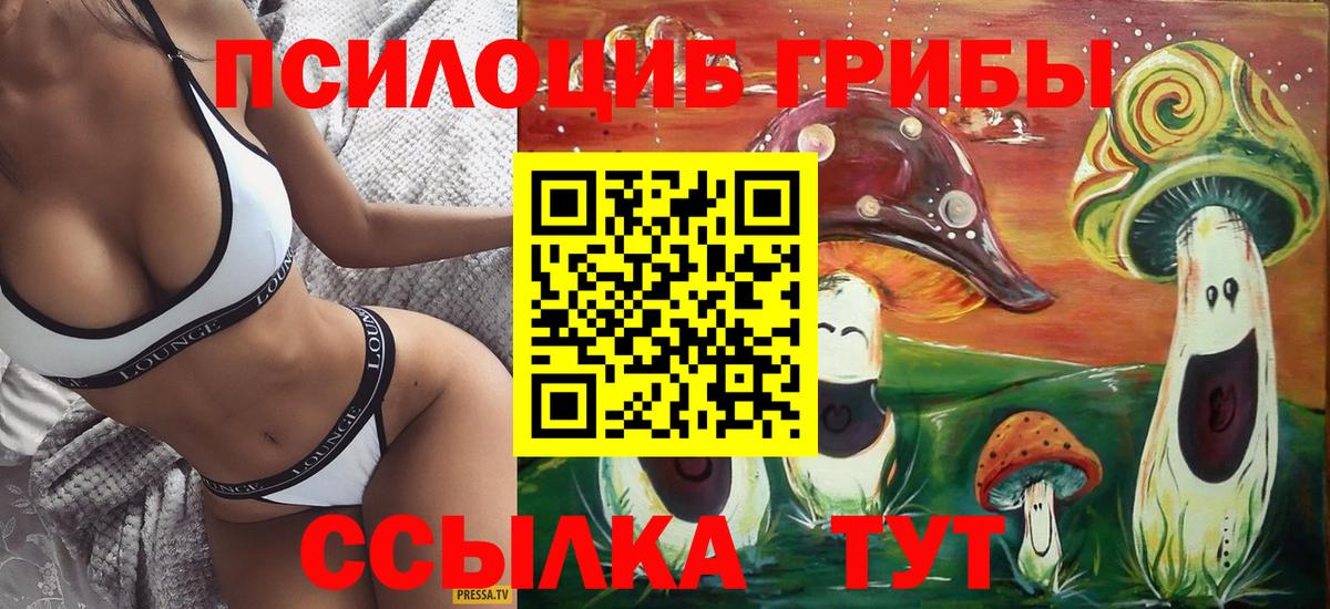 Калининград  Галлюциногенные грибы Psilocybine cubensis  Вход с VPN 